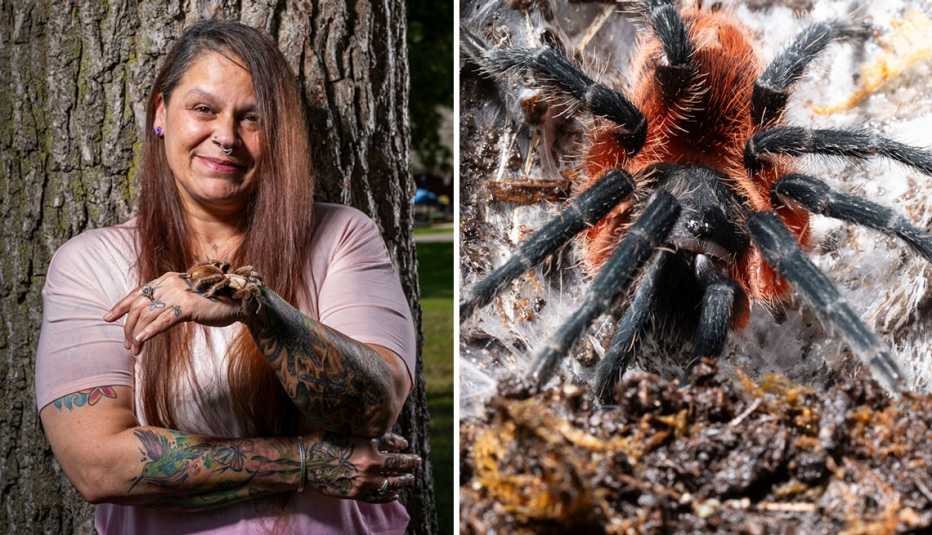 amy salinas holding a tarantula