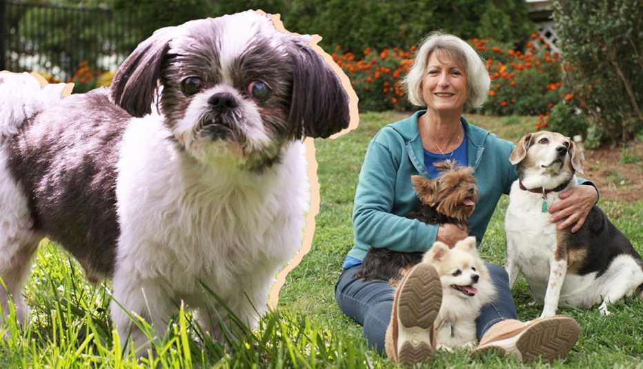 chris shaughness and the senior dogs she rescues