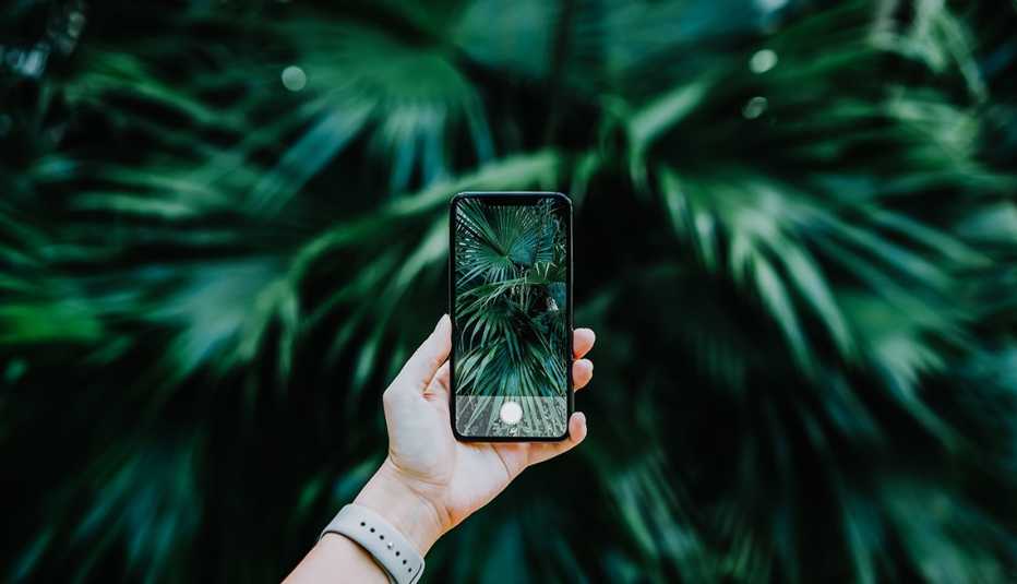 a woman's hand holding a smartphone with leaves on it
