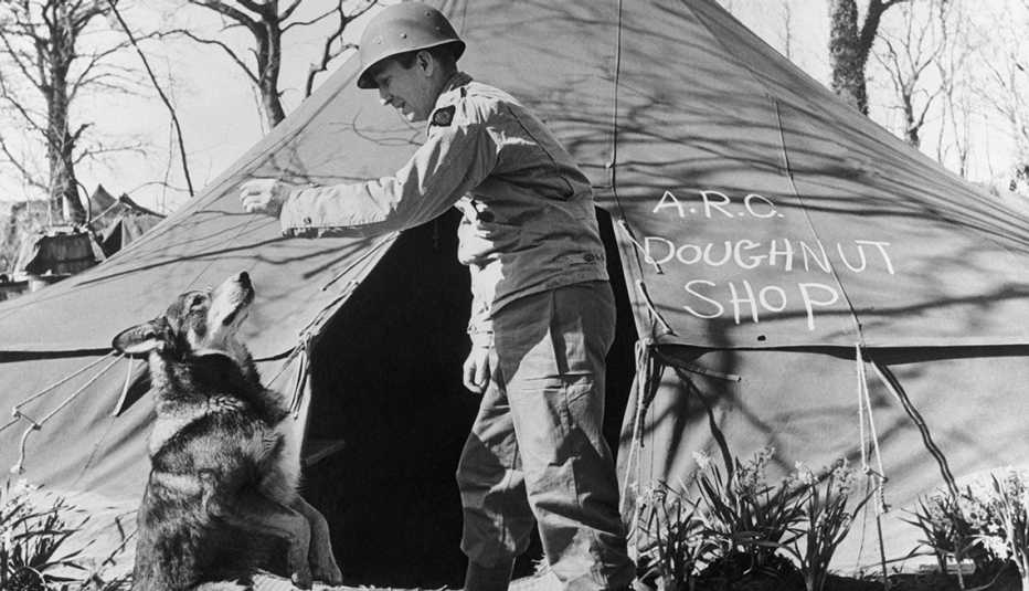 A dog begging for food outside of a military tent