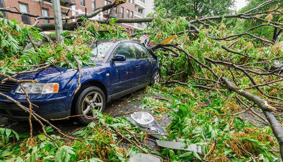 A falling tree damages a vehicle after a storm.