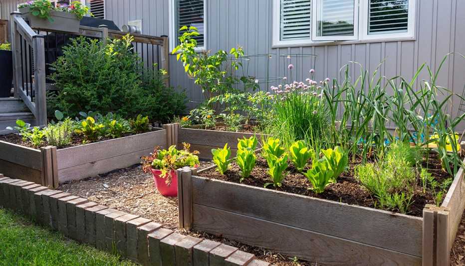 the backyard of a home with several raised bed gardens with vegetables planted in them