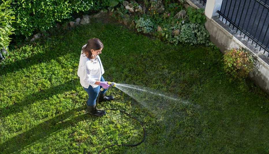 Aerial view of a woman watering garden with water hose.