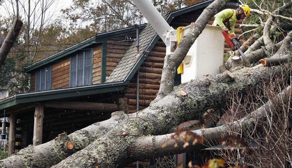 a large tree that fell on a home garage is being cut up by worker with a power saw 