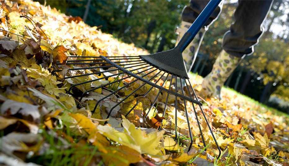 person raking autumn leaves