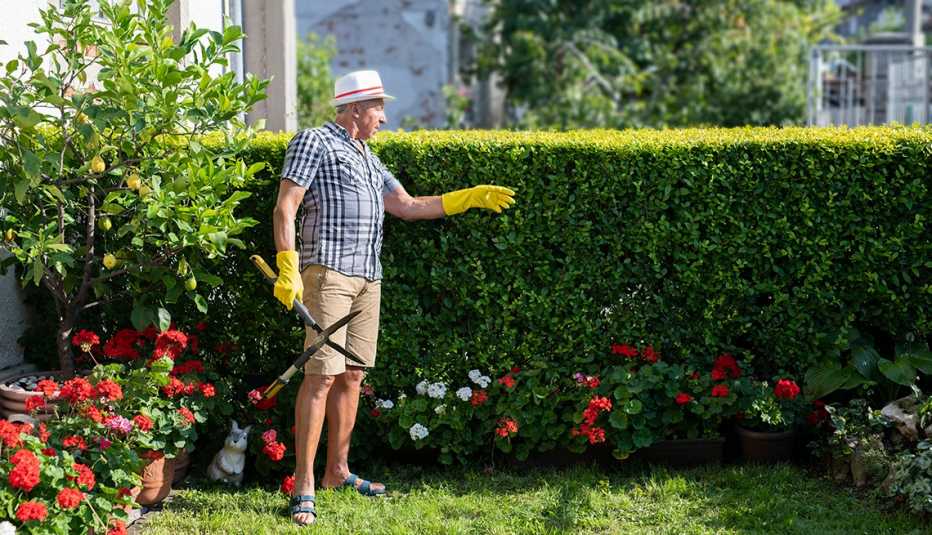 man trimming bushes in his yard