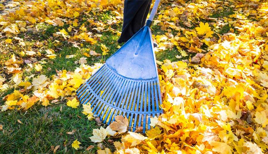 Woman raking fall leaves