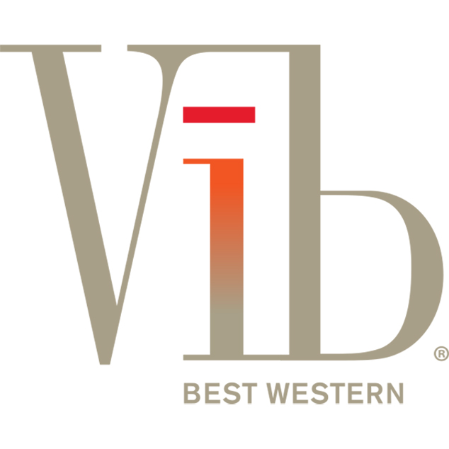 VĪb Logo