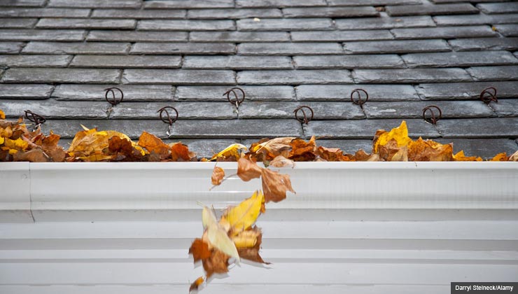 Fall leaves overflowing in a gutter