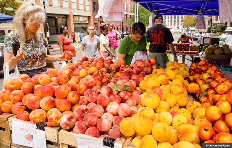 Shopping at the farmers market can save you money and give you access to great local food sources.