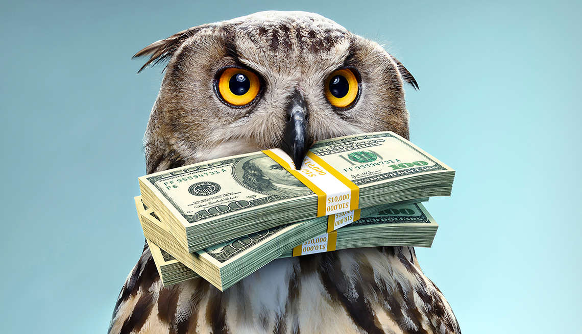 Owl holds money in it's beak 