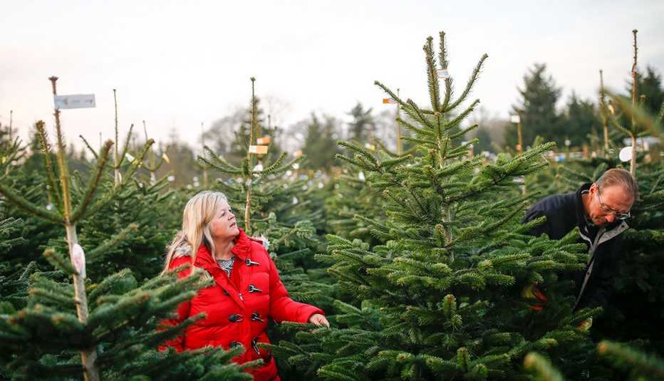 customer in red coat shopping for a tree at a Christmas tree farm