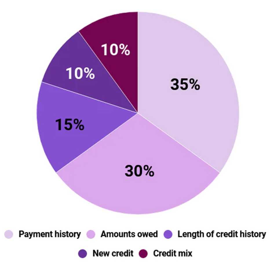 pie chart showing factors that make up credit score