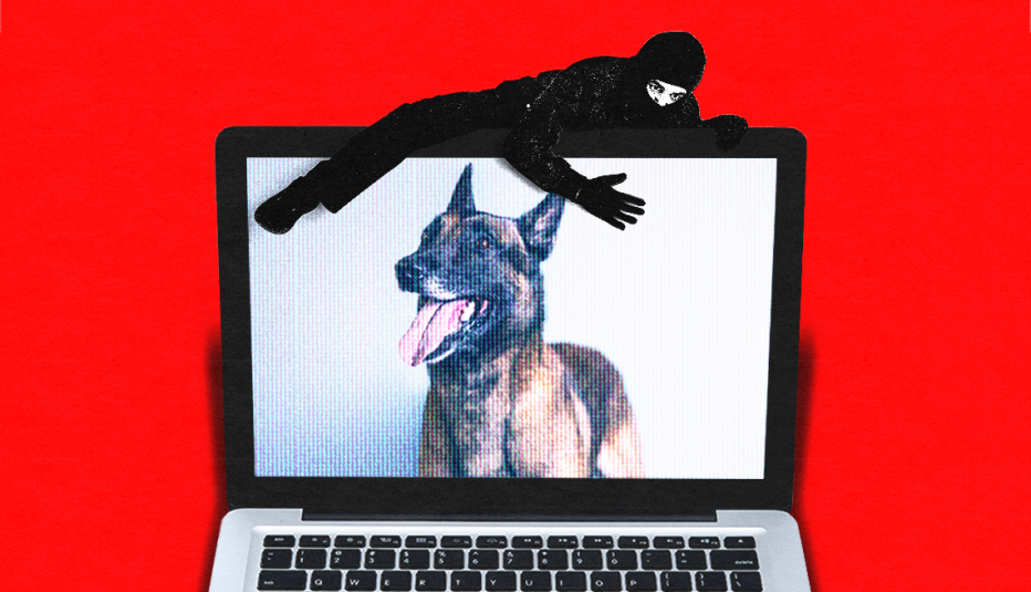 a burglar climbs over a laptop with a dog on the screen