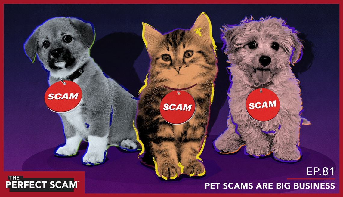 Episode 81 - Pet Scams are Big Business - org