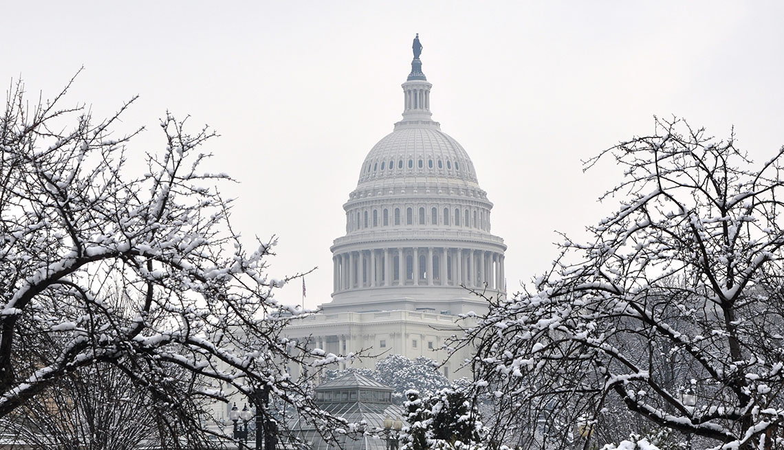 The winter Capitol in an environment of snow-covered trees.