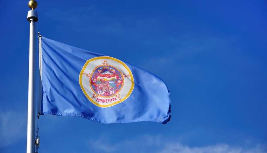 Minnesota State Flag Against a Blue Sky