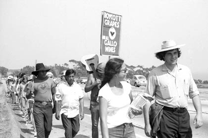 The United Farm Workers (UFW) 1,000 Mile March approaches Malibu, California, in the summer of 1975. César Chávez is visible in the second row of marchers. The march was a 59 day trek organized by the UFW, from the Mexican border at San Ysidro to Salinas and then from Sacramento south down the Central Valley to the UFW's La Paz headquarters at Keene, southeast of Bakersfield, California. Tens of thousands of farm workers marched and attended evening rallies to hear Chávez and organize their ranches.