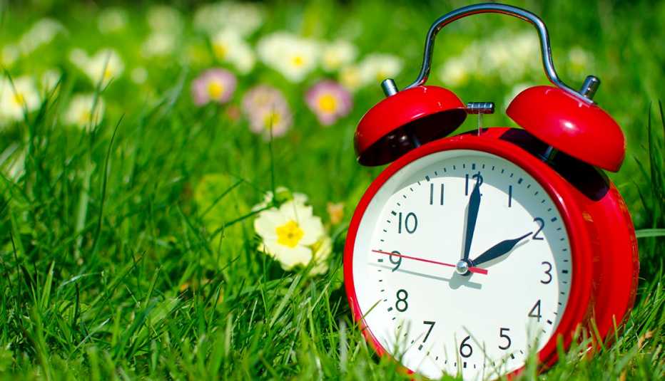 a red clock in a field with flowers