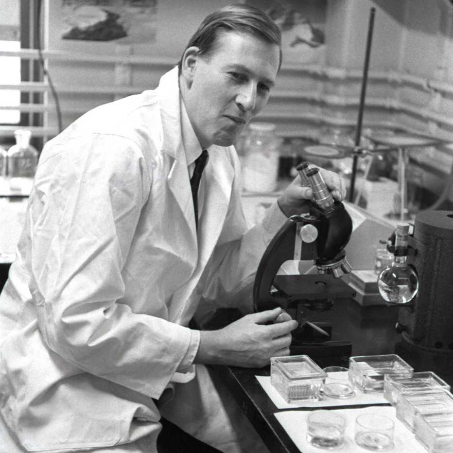 Roger Bannister using a microscope