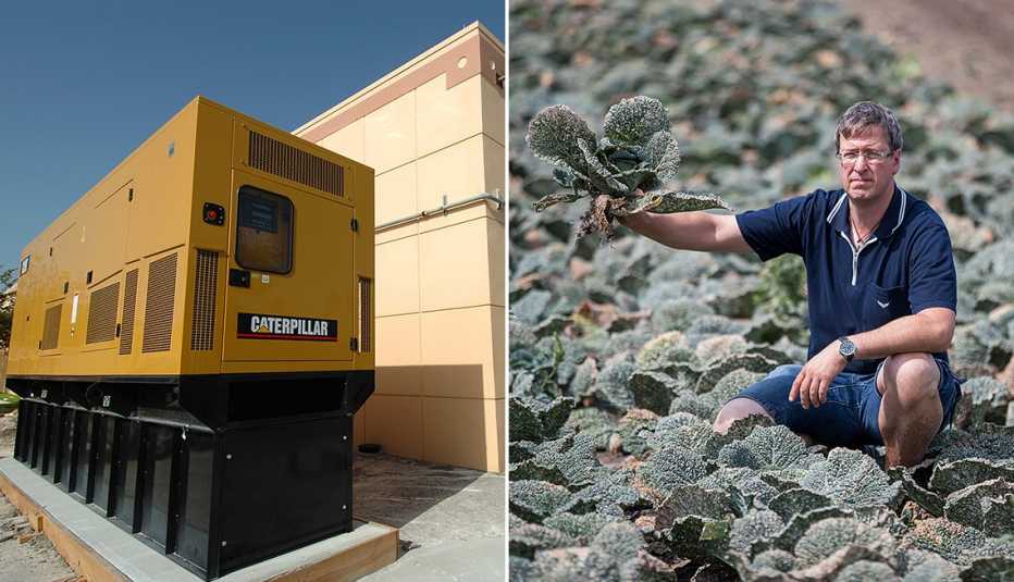 two images a backup generator behind a grocery store in florida and a farmer showing his drought ruined crop