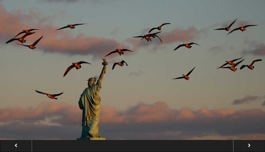 geese fly over the statue of liberty with clouds made pink at sunset, with slideshow overlay