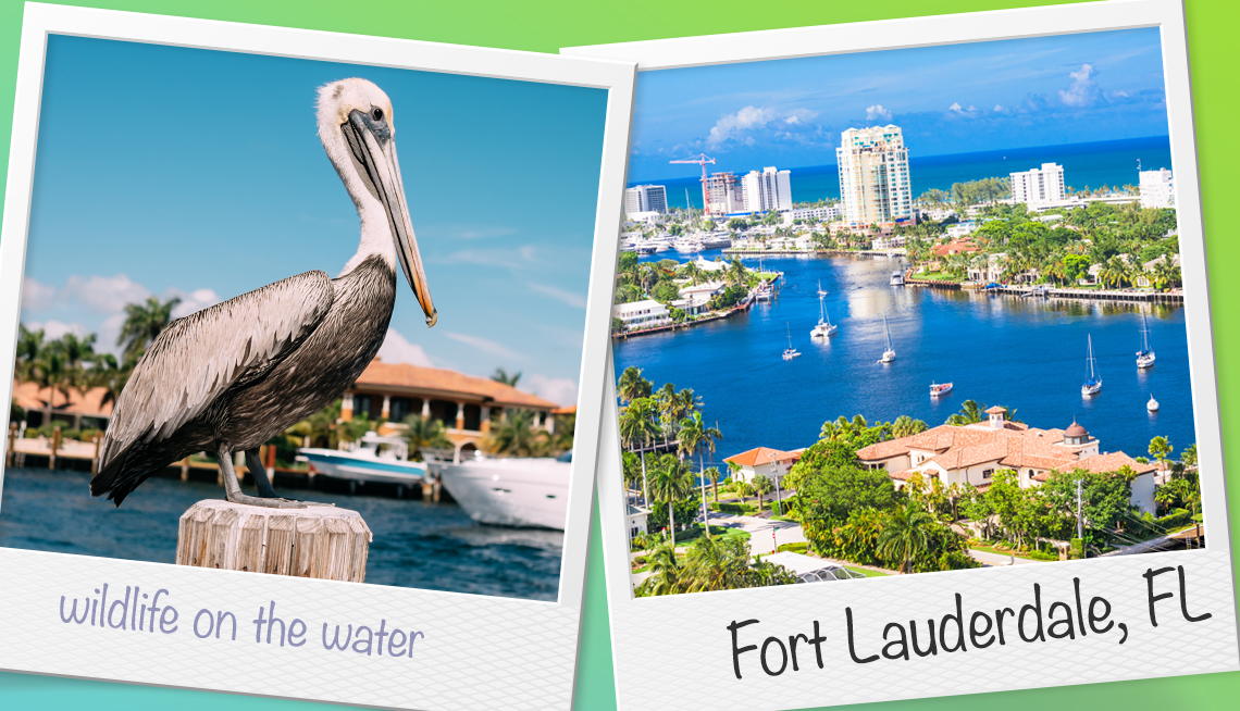 two polaroids of fort lauderdale florida the left of a pelican the right a skyline of fort lauderdale