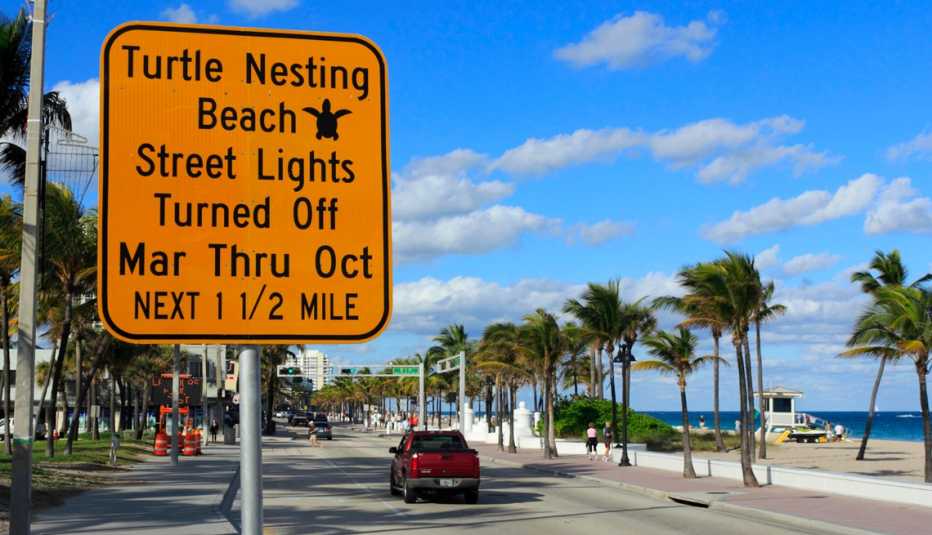 a sign about lights off for sea turtle nesting season in fort lauderdale florida