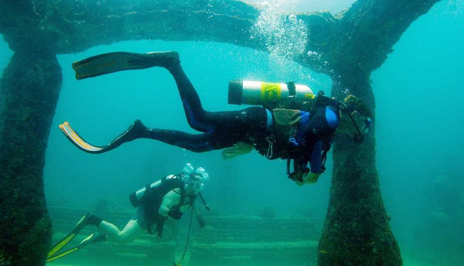 scuba divers swim through green water in the neptune memorial reef near key biscayne, florida