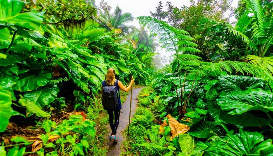 a woman hiking through the jungle on saba island in the carribean