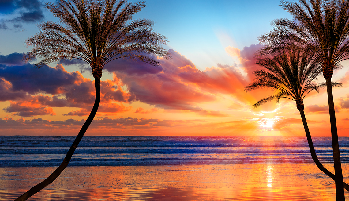 Backlit palm trees and sandy beach fills the foreground leading back to dramatic sunburt sunset and cloudscape