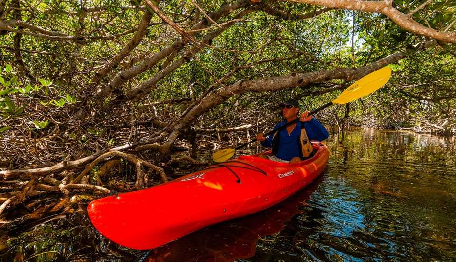 man kayaking in a mangrove tidal creek (Big Pine Kayak Adventures), Big Pine Key, Florida Keys, Florida 