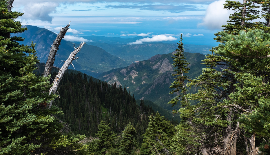 forested mountains in the distance in olympic national park washington