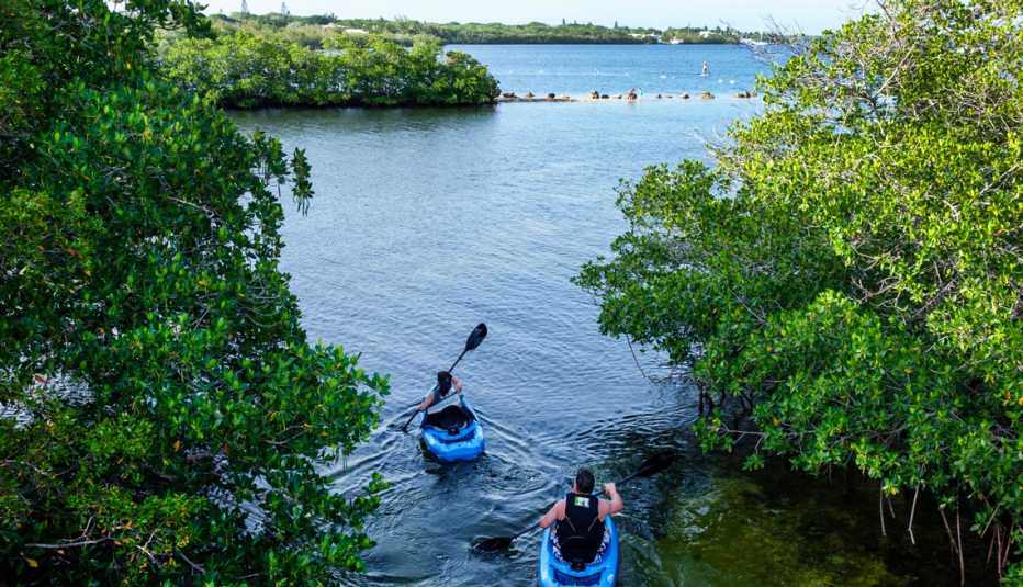 people kayaking past mangrove trees in key largo florida