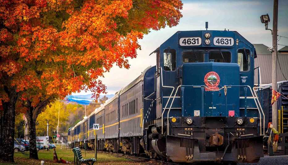 the blue ridge scenic railway in the fall through the chattahoochee national forest