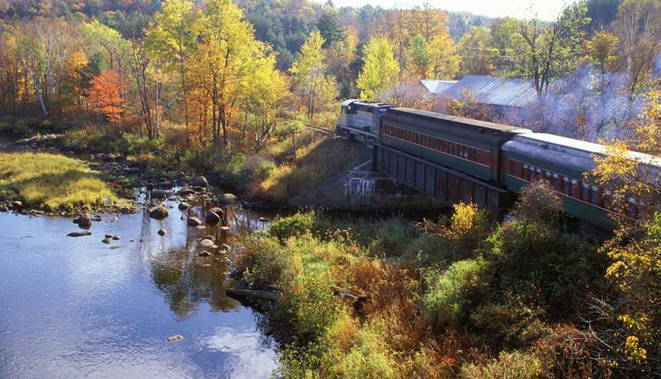 the adirondack railroad running through an autumn forest