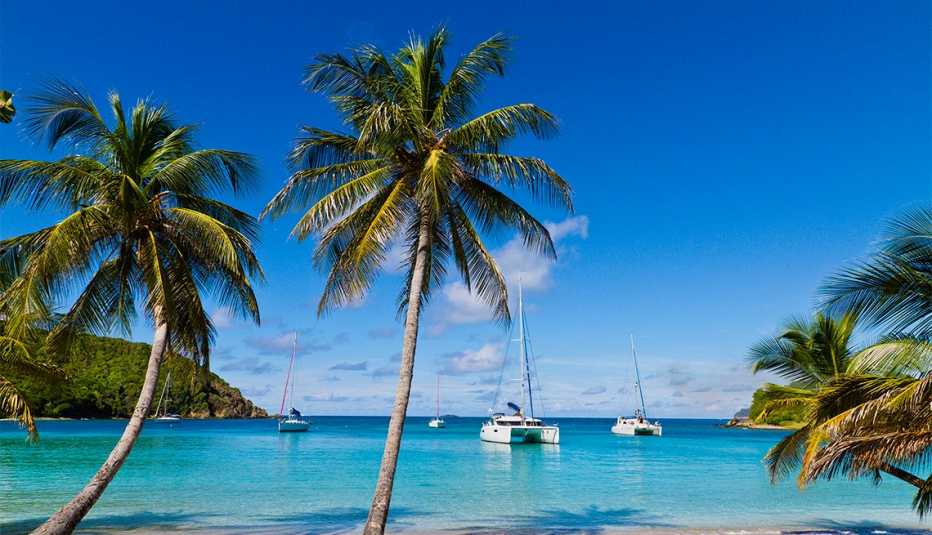 scenic photo of Salt Whistle Bay in the Grenadines with catamarans at seas