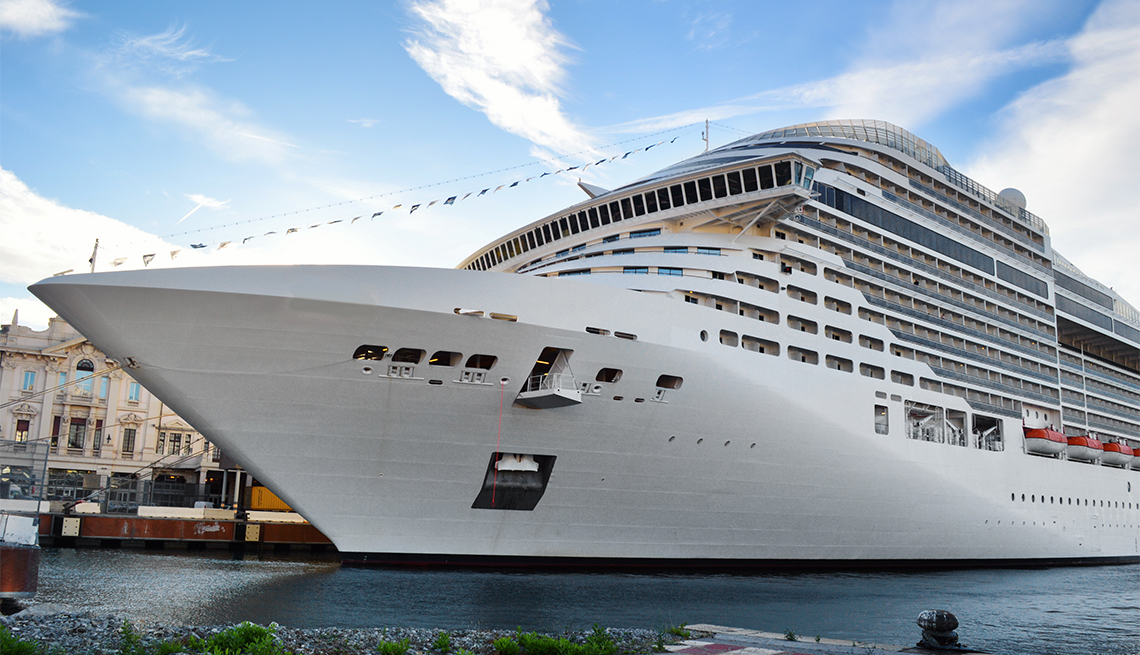 a docked cruise ship