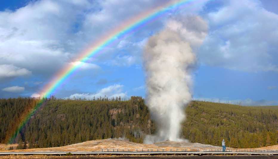 a rainbow over old faithful erupting at yellowstone park wyoming