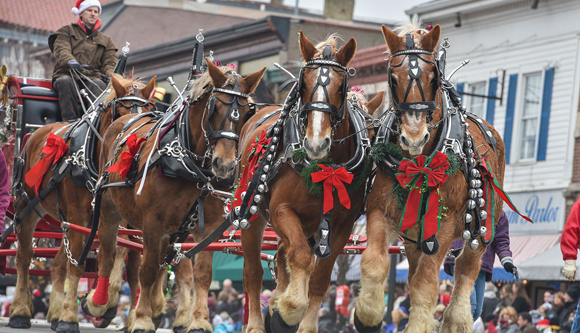 Horses dressed for the Horse-Drawn Carriage Parade & Festival 