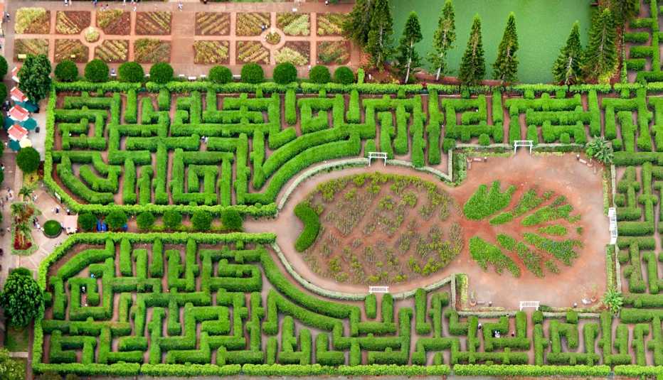 Dole Pineapple Maze in Hawaii