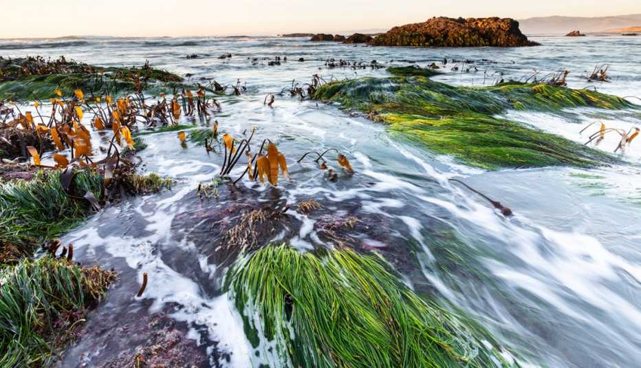 a tidepool at sunset in mackerricher state park mendocino county california