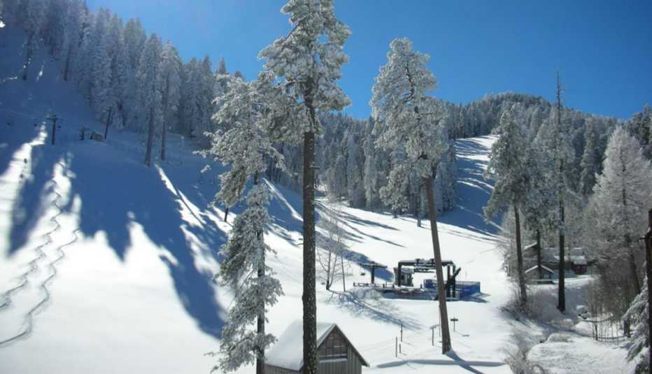 snow covered Mt. Lemmon Ski Valley