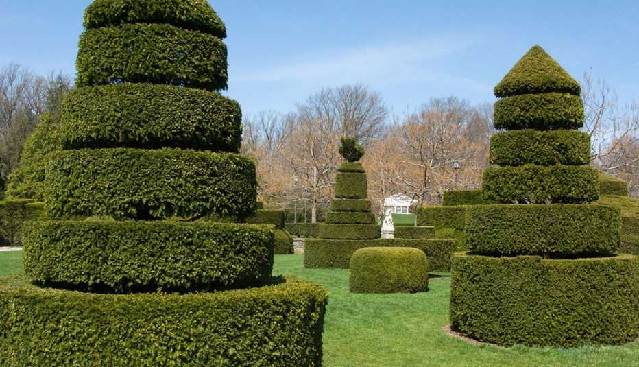 the outdoor topiary garden at longwood gardens in pennsylvania