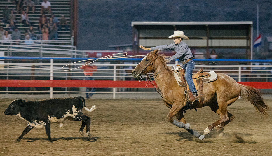 a man rides a horse and chases a cow at a cody wyoming rodeo