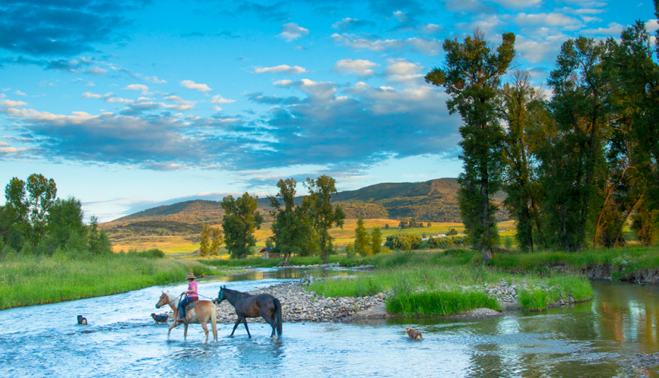riding horses in a river in steamboat springs colorado