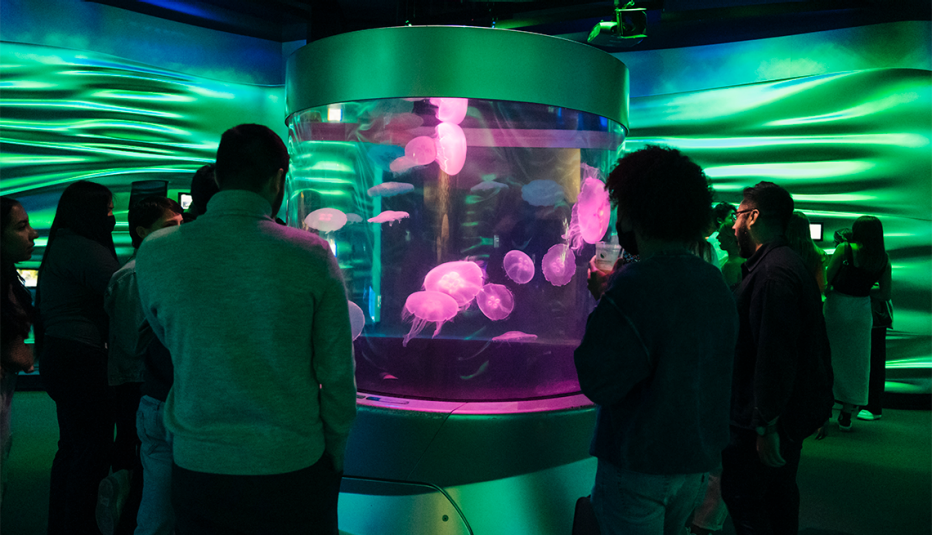 visitors at an adults only nightlife event at the california academy of sciences