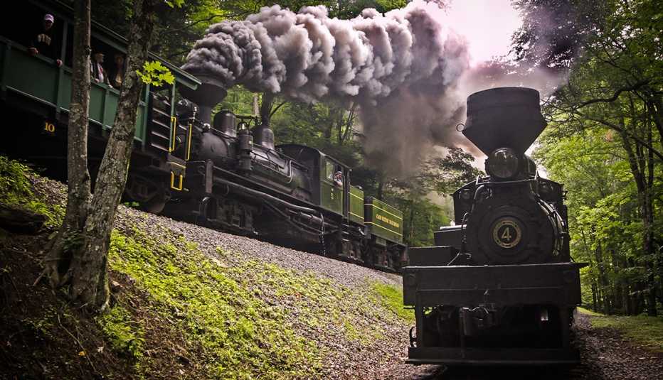 trains pass each other in the forest on the cass scenic railroad in west virginia