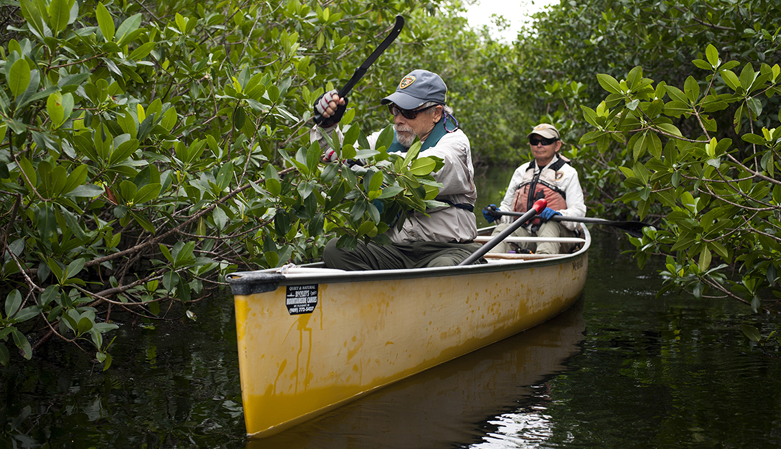 John Buckley Uses Machete to Trim Mangrove Trees on Water Trail in Everglades National Park in Florida, Travel, National Parks Volunteer