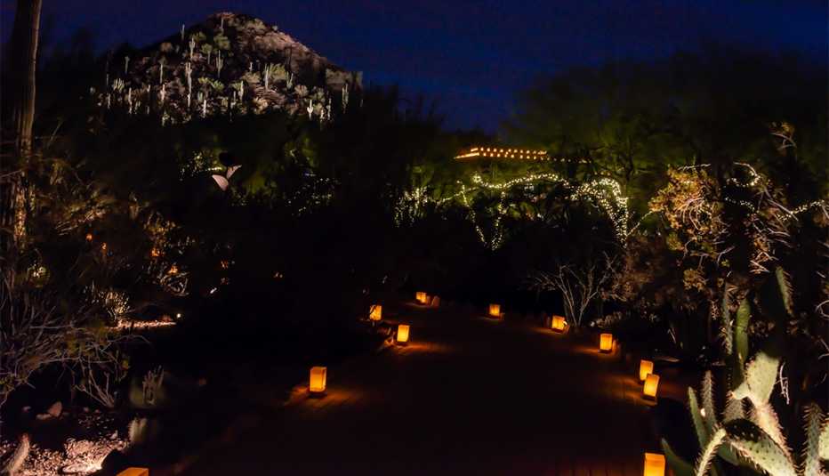 Desert Botanical Garden Luminarias & Lights